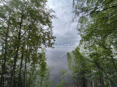 derevnya-besedy-gorodskoy-okrug-chkalovsk фото