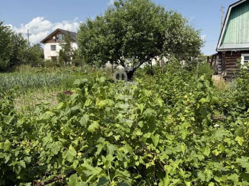 земельный участок 8,7 сотки деревня Ройка